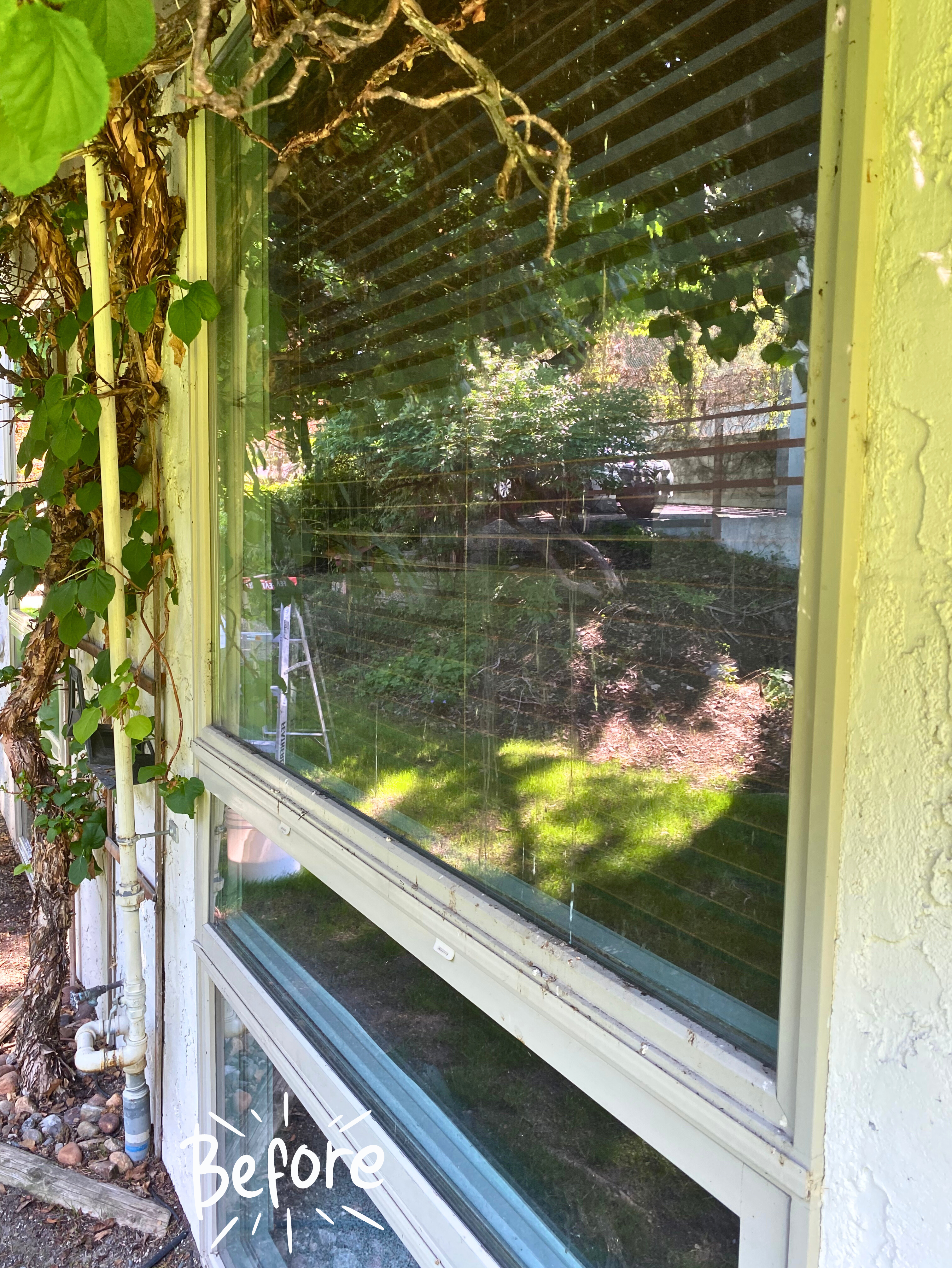 window before it was cleaned by gen x window washing service